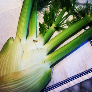 fennel