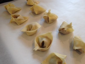 wonton 3